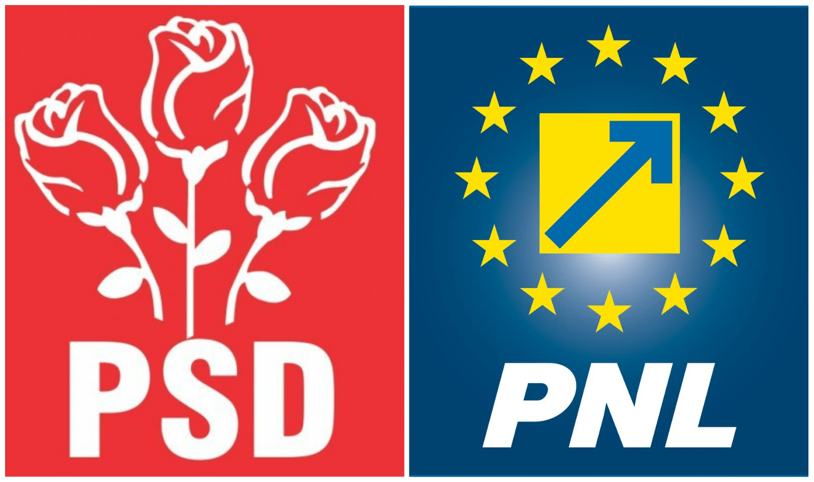 PSD și PNL au bătut palma pe modificarea Codului Penal, după cazul recidivistului Ion Turnagiu