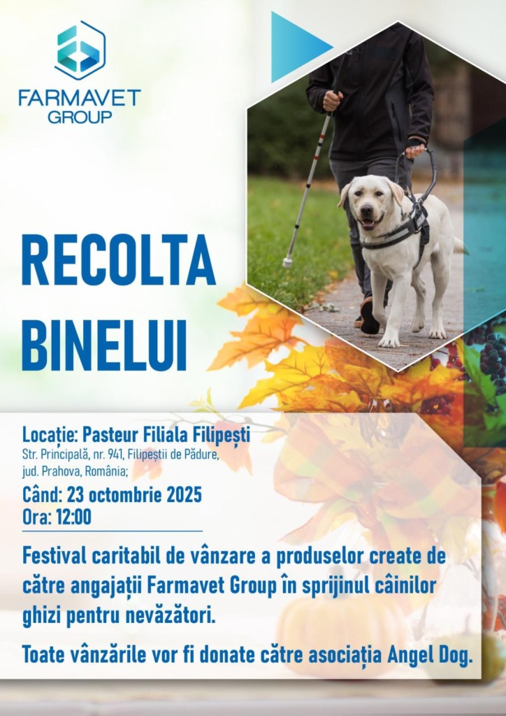 „Recolta Binelui”, un festival al solidarității la Filipeștii de Pădure