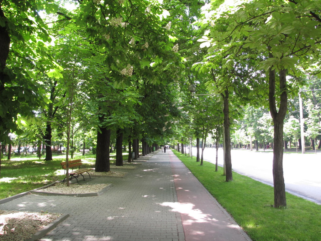 Primăria Ploiești închide Bulevardul Independenței, în fiecare weekend, până la 31 august